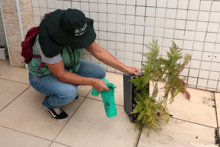 Santos segue combate à dengue durante preparação para o Carnaval