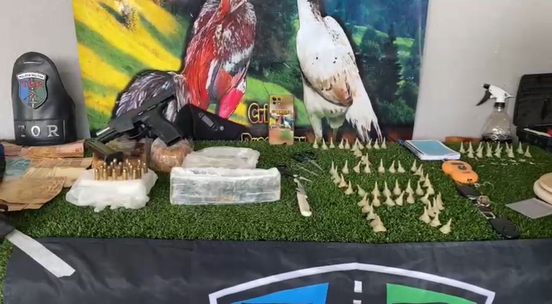 Polícia Ambiental desarticula grupo no Jardim Cascata e apreende 29 aves