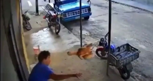 VÍDEO: homem joga frango em ladrão para evitar assalto