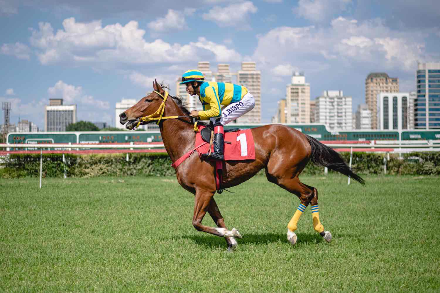Jockey de SP mantém corridas e terá parque após acordo que encerra disputa com prefeitura