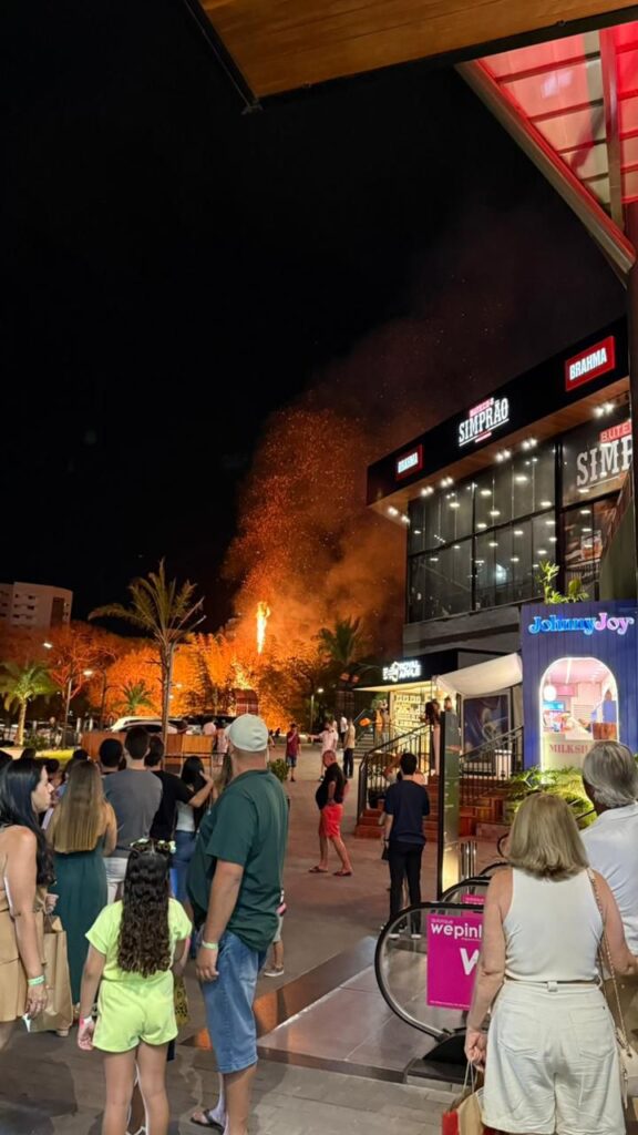 Incêndio atinge bambuzal próximo ao Shopping Singapura
