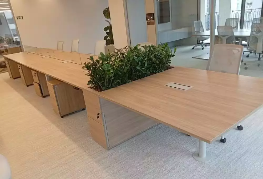 Itens do Banco Master vão a leilão com peças de grife para escritório