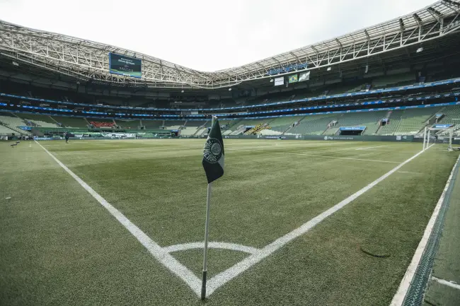 Palmeiras x Vasco no Brasileirão: onde assistir, horário e escalações