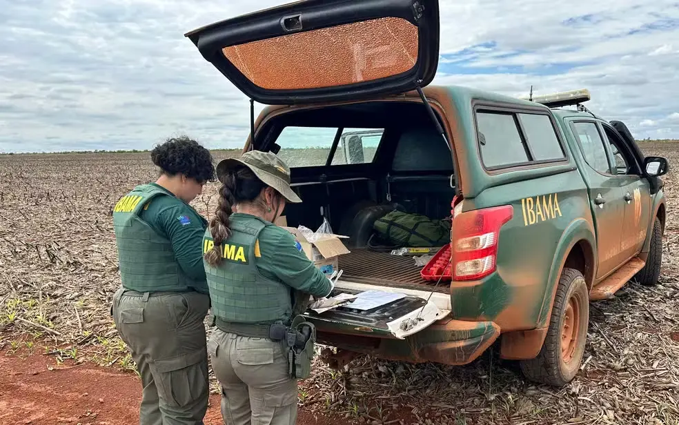 Ibama aplica R$ 890 mil em multas por cultivo de milho transgênico no entorno do Parque Nacional das Emas