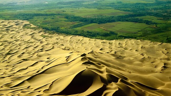 China investe bilhões em reflorestamento para conter o deserto e agora possui a maior “muralha verde” da história