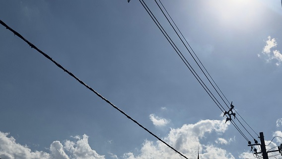 Feriadão será de muito calor em Feira de Santana