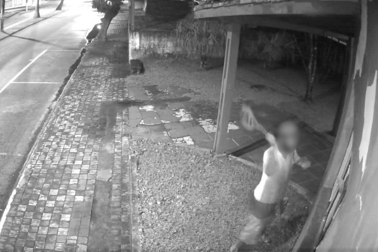 Farmácia municipal de Mongaguá é alvo de vandalismo e prejuízo chega a R$ 3 mil; VÍDEO