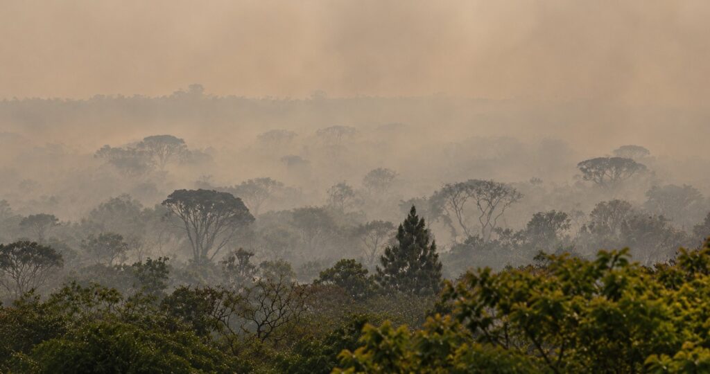 Força Nacional do SUS apoia atendimentos no Amazonas após incêndios