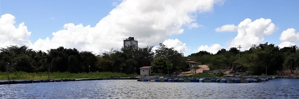 A fábrica de gelo – capítulo VII
