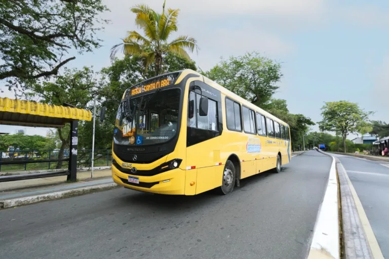 ELEIÇÕES 2026: ÔNIBUS EM ITABUNA SERÁ GRATUITO NESTE DOMINGO (25)