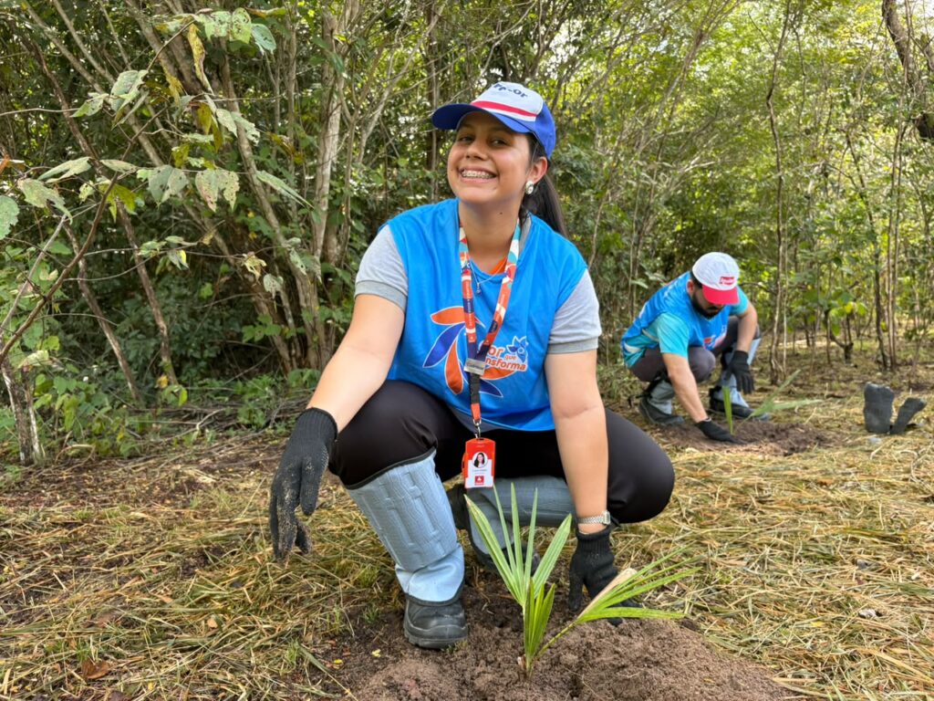 Hidracor planta 50 mudas de carnaúba em ação ambiental