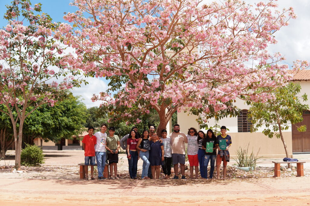 Mostra de cinema infantil une cultura e compromisso ambiental com ações de reflorestamento e compensação de carbono