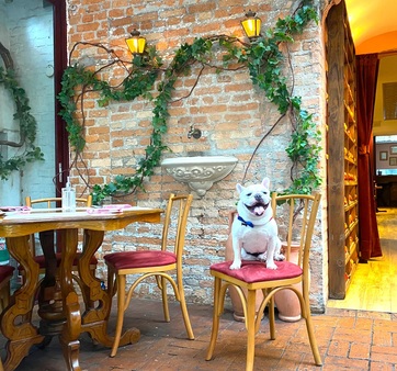 Evento de restaurantes em Fortaleza inclui participantes que permitem a presença de animais de estimação