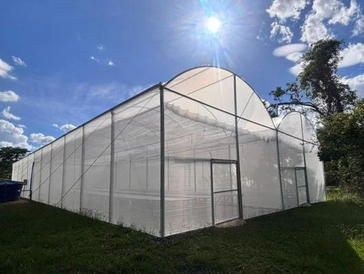 Jardim Botânico de Brasília amplia estrutura para pesquisa, educação ambiental e visitação (25/06)