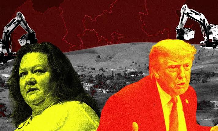 Mineradora financiada por trumpista quer explorar terras raras na Bahia