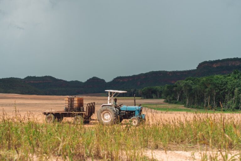 Agropecuária faz desmatamento ser maior no Cerrado que na Amazônia