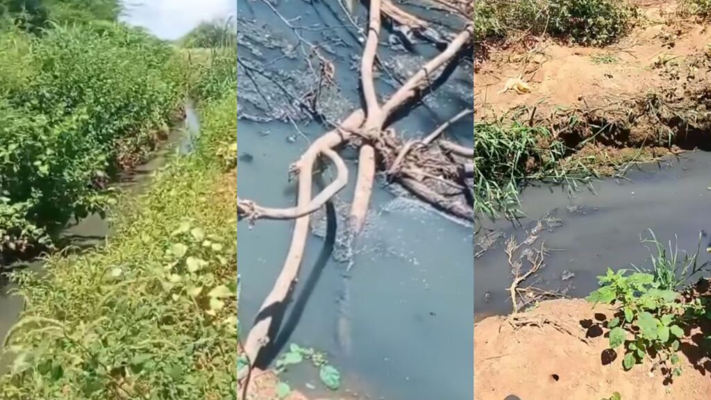 VEJA O VÍDEO: Esgoto sem tratamento é despejado diretamente no Rio São Francisco e preocupa moradores de Sento Sé