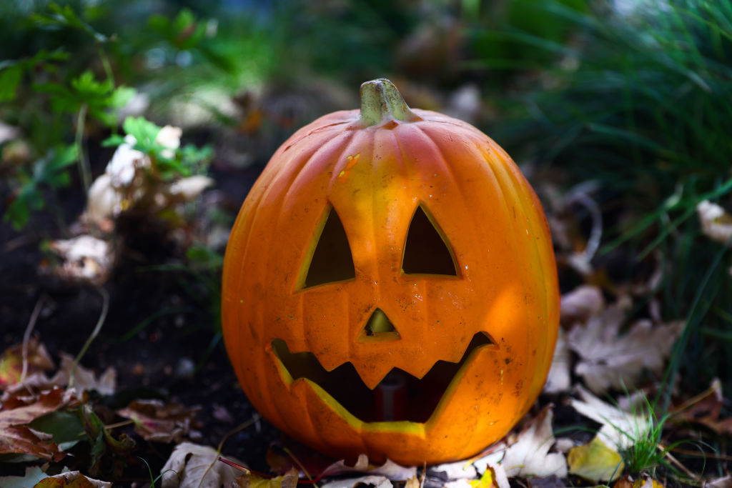 Por que você não deve jogar suas abóboras de Halloween no lixo