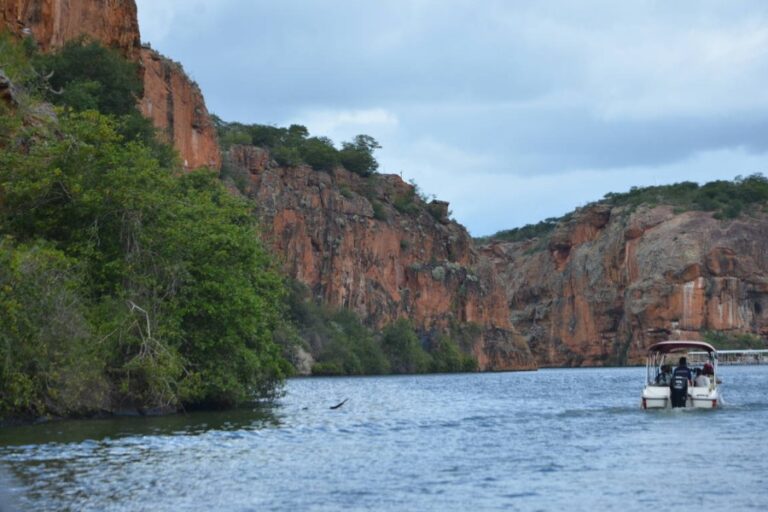 Organizações buscam desenvolver área do Rio São Francisco com conservação e inclusão