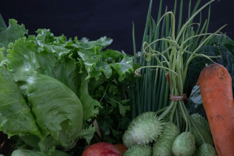 Agricultura familiar agroecológica amplia a produção de alimentos no Semiárido brasileiro