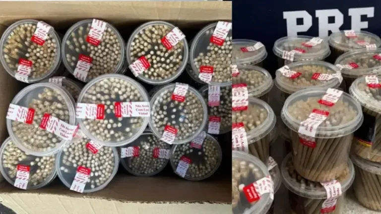 PRF apreende mais de 10 mil cigarros artesanais na Bahia