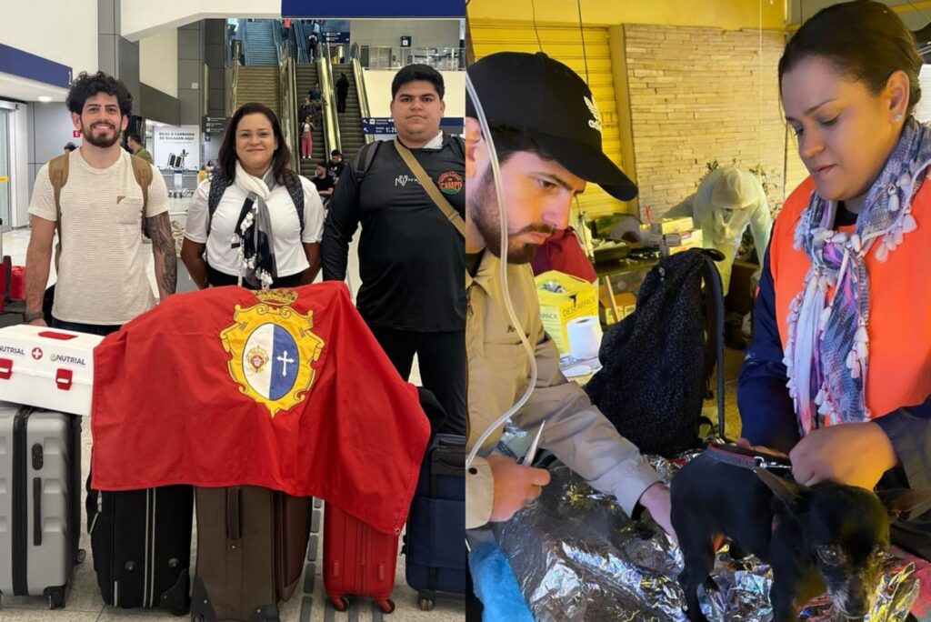 Casal de veterinários cearenses viaja para o RS para ajudar no resgate e tratamento de animais