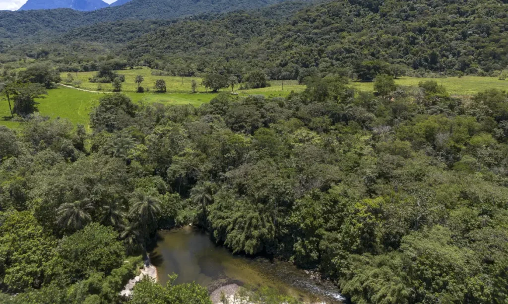 Brasil diminui em 43% área de vegetação nativa fragmentada