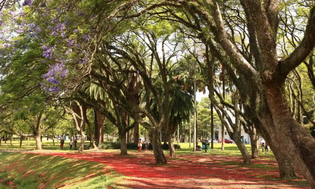 Homem morre após passar mal durante exercício físico no Parque Ibirapuera